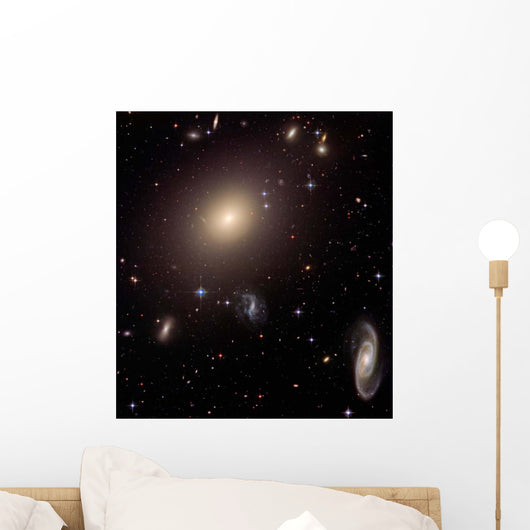 Giant Elliptical Galaxy and Wall Decal