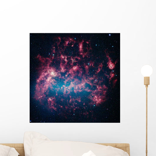 Large Magellanic Cloud Satellite Wall Decal
