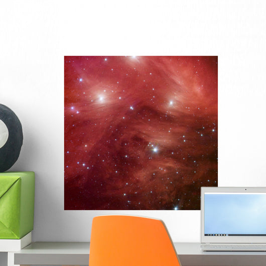 Seven Sisters Also Known Wall Decal