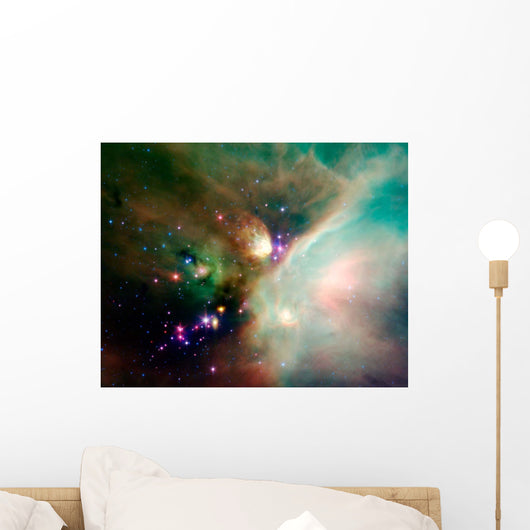 Newborn Stars Wall Decal