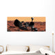 Mars Science Laboratory Wall Decal Design 3