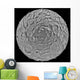 Lunar Mosaic South Polar Wall Decal