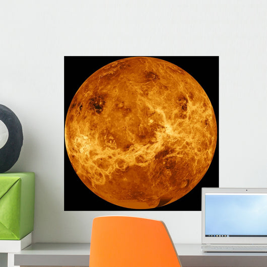 Global Surface Venus Wall Decal