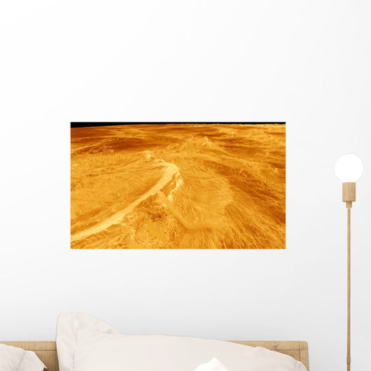 3D Perspective Latona Vorona Wall Decal
