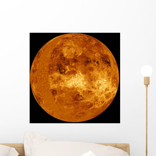 Venus Wall Decal Design 3