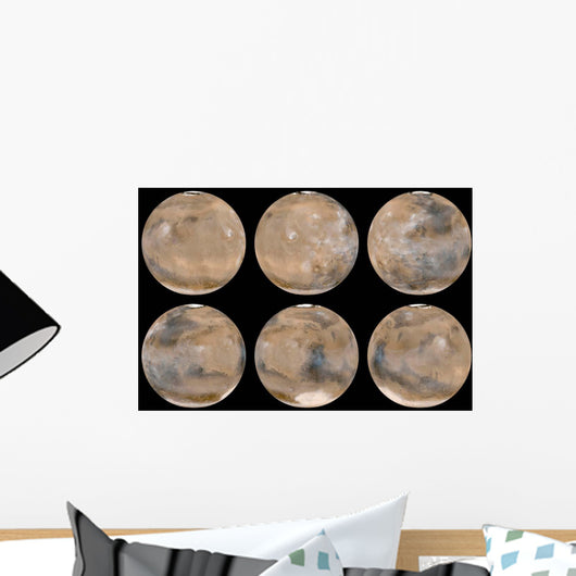 Mid-northern Summer Southern Winter Wall Decal