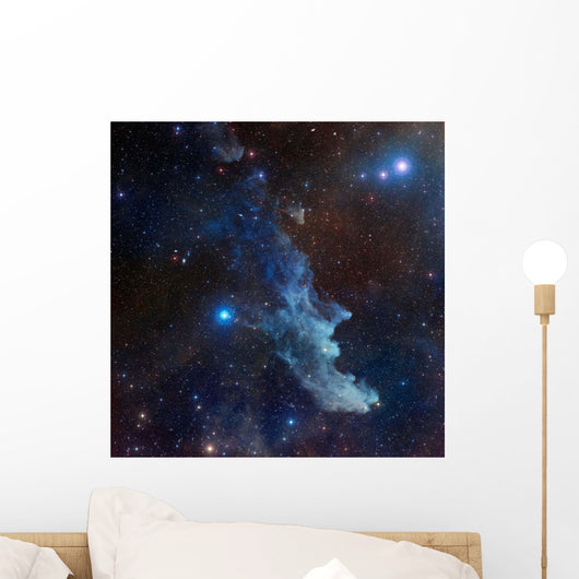 Witch Head Nebula Wall Decal