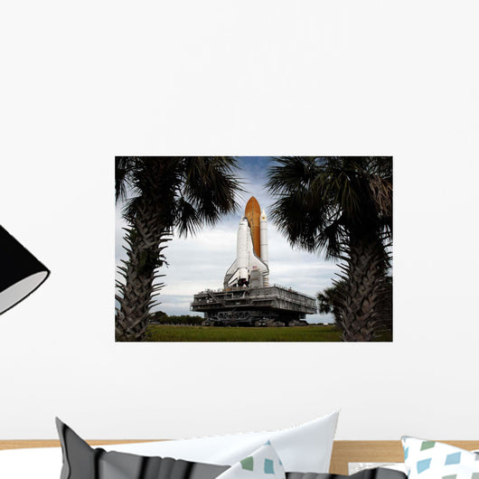 Palmetto Trees Frame Space Wall Decal