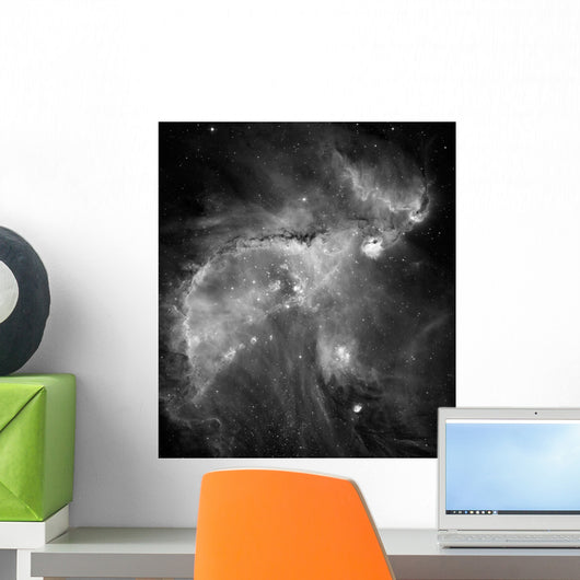 Ngc 346 and N66 Wall Decal