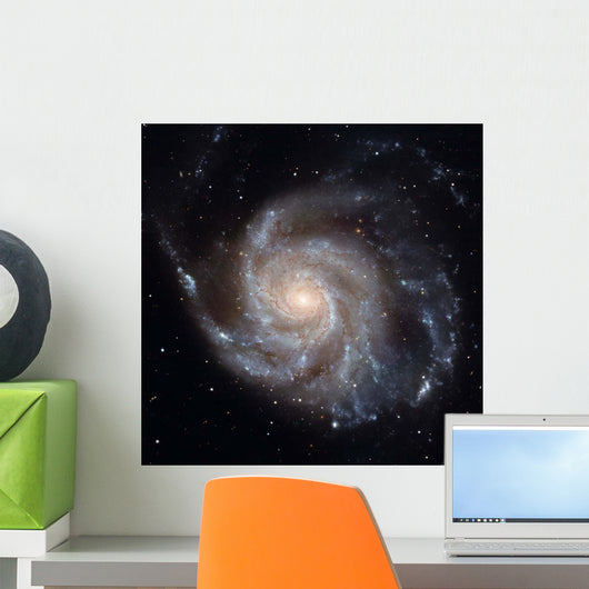 Messier 101 Pinwheel Galaxy Wall Decal