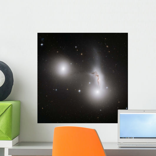Cluster Interacting Galaxies Wall Decal