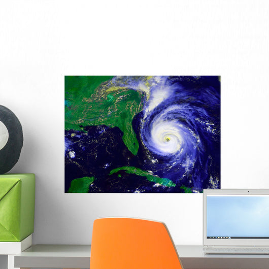Hurricane Fran Wall Decal