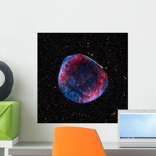 Composite Image Sn 1006 Wall Decal