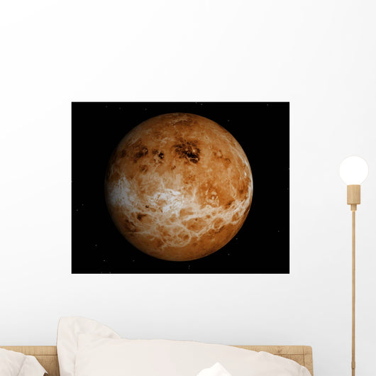 Venus Wall Decal Design 1