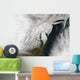 Severe Winter Storm along Wall Decal