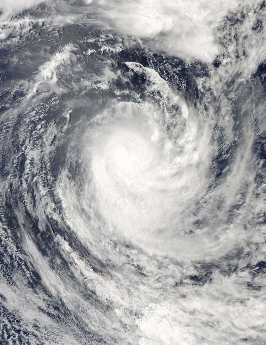 Cyclone Rene over South Wall Decal