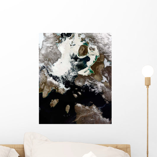 Sea Ice and Sediment Wall Decal