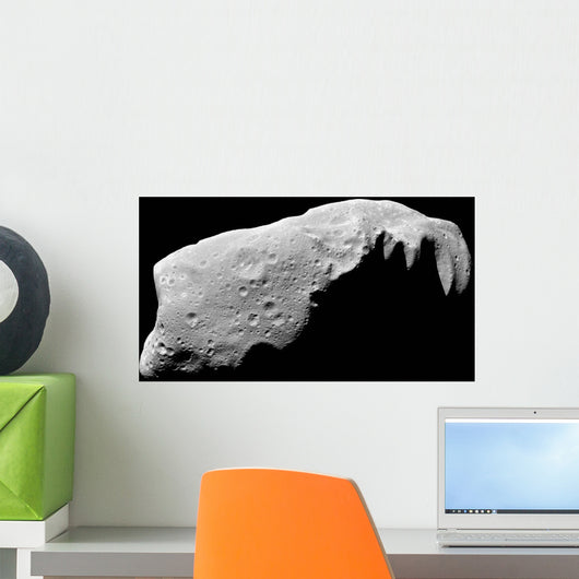 Asteroid 243 Ida Wall Decal