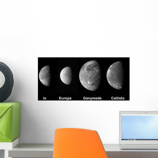 Jupiter's Galilean Moons Wall Decal