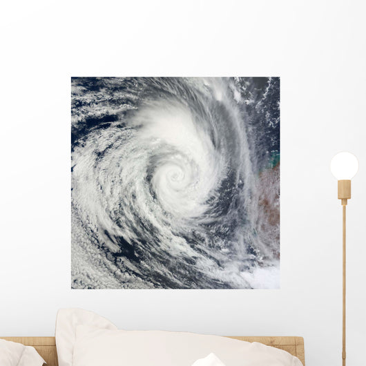 Tropical Cyclone Dianne Wall Decal Design 2