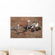 Three Generations Mars Rovers Wall Decal Design 2