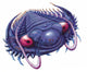 Trilobite swimming. Wall Decal