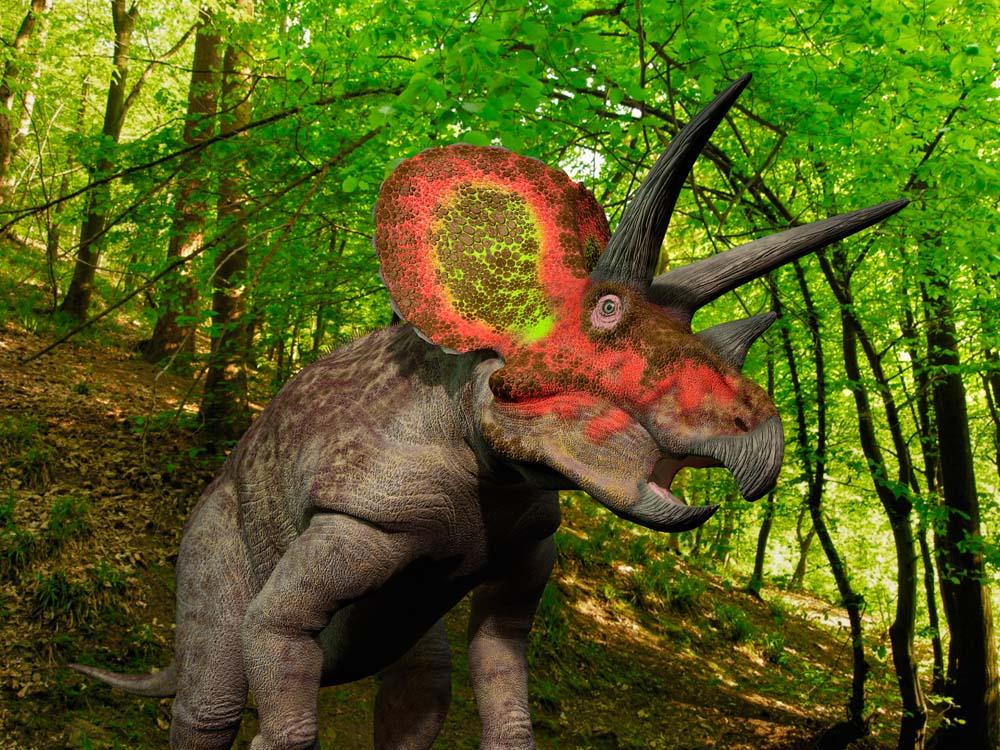 Colorful Triceratops Wanders Cretaceous Wall Decal - WallMonkeys