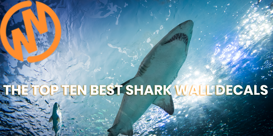 10 of the Best Shark Wall Decals