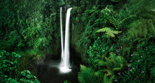 Waterfall Samoa Wall Decal