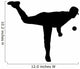 Pitcher Throws Baseball Wall Decal