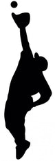 Fly Ball Baseball Wall Decal