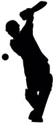 Cricket Batter Wall Decal