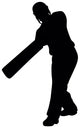 Sports Silhouettes Cricket Wall Decal