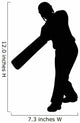 Sports Silhouettes Cricket Wall Decal