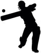 Hitting Cricket Batter Wall Decal