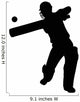 Hitting Cricket Batter Wall Decal