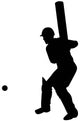 Sports Batter Cricket Wall Decal
