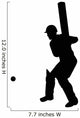 Sports Batter Cricket Wall Decal