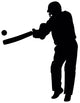Hitting Cricket Player Wall Decal