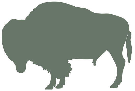 Furry Green Bison Wall Decal