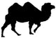 Walking Camel Wall Decal