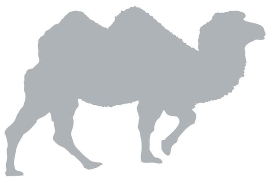 Grey Camel Silhouette Walking Wall Decal