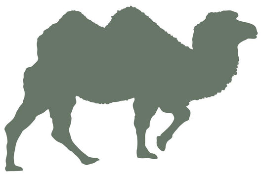 Green Camel Walking Wall Decal