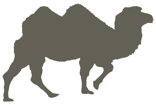 Brown Camel Walking Wall Decal
