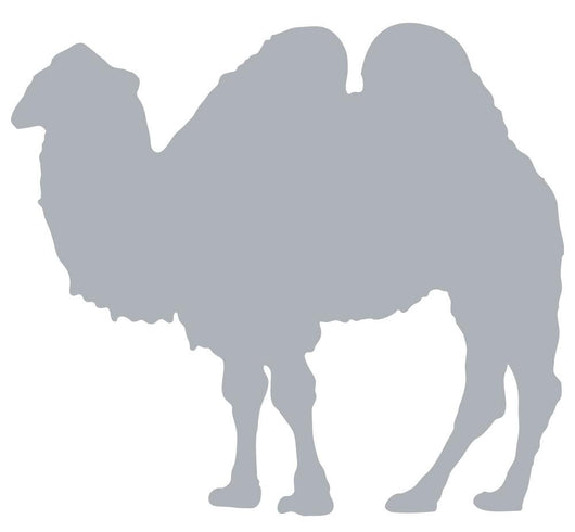 Grey Camel Silhouette Standing Wall Decal