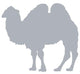 Grey Camel Silhouette Standing Wall Decal