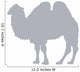 Grey Camel Silhouette Standing Wall Decal