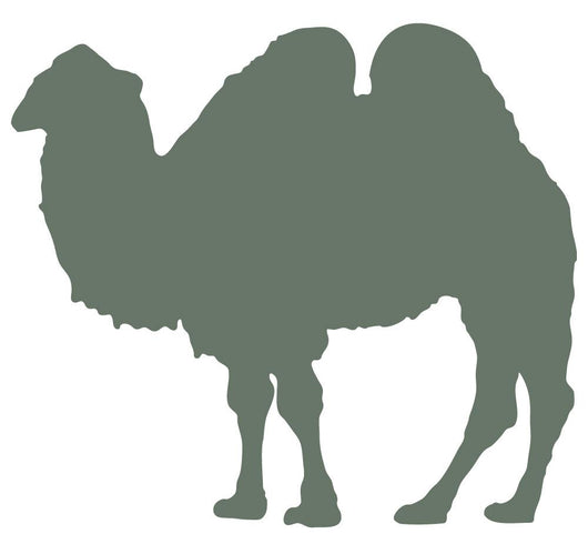 Green Standing Camel Wall Decal