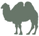 Green Standing Camel Wall Decal