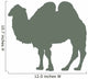 Green Standing Camel Wall Decal